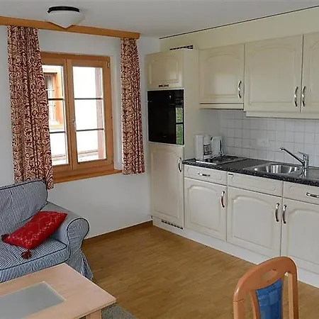 Schonried Sleeps 4 Wifi Διαμέρισμα *